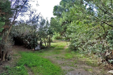 3 bedrooms Land in Euboea, Greece No. 59747 14