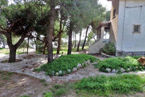 3 bedrooms Land in Euboea, Greece No. 59747 7