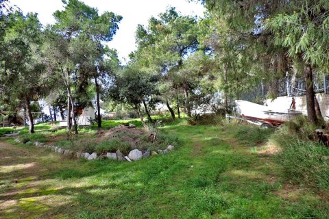 3 bedrooms Land in Euboea, Greece No. 59747 16