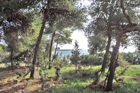 3 bedrooms Land in Euboea, Greece No. 59747 3