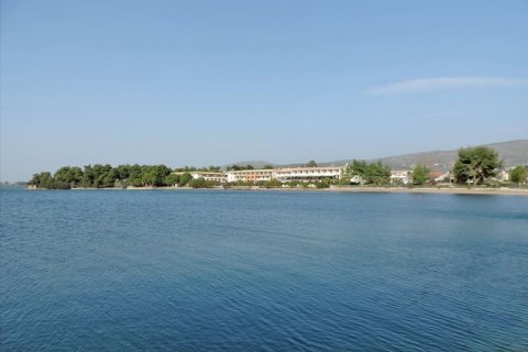 3 bedrooms Land in Euboea, Greece No. 59747 20