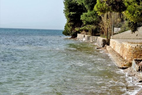 3 bedrooms Land in Euboea, Greece No. 59747 17