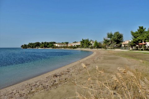 3 bedrooms Land in Euboea, Greece No. 59747 18
