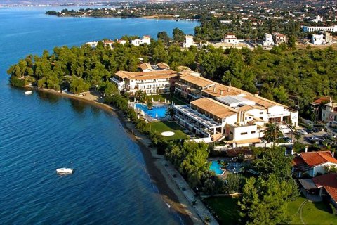 3 bedrooms Land in Euboea, Greece No. 59747 2