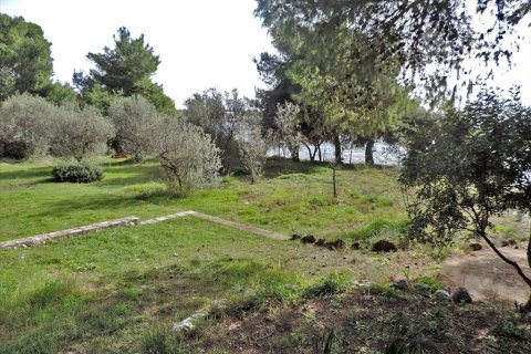 3 bedrooms Land in Euboea, Greece No. 59747 10