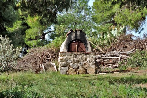 3 bedrooms Land in Euboea, Greece No. 59747 11