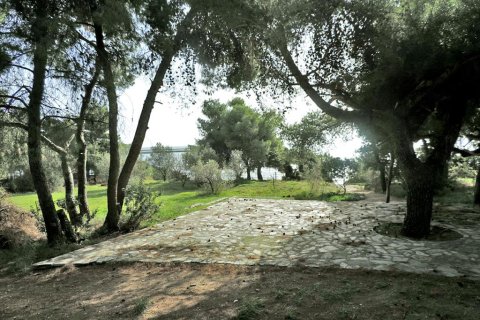 3 bedrooms Land in Euboea, Greece No. 59747 13