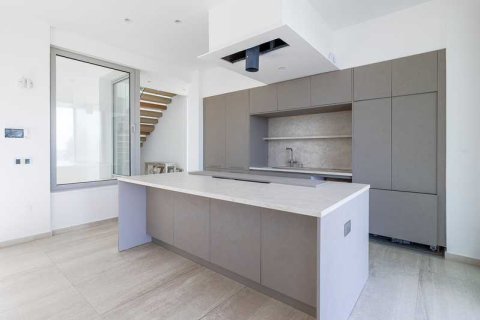 7 dormitorios House en Pernera, Cyprus No. 39480 9