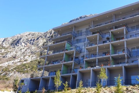 2 bedrooms Apartment in Kotor, Montenegro No. 66802 1