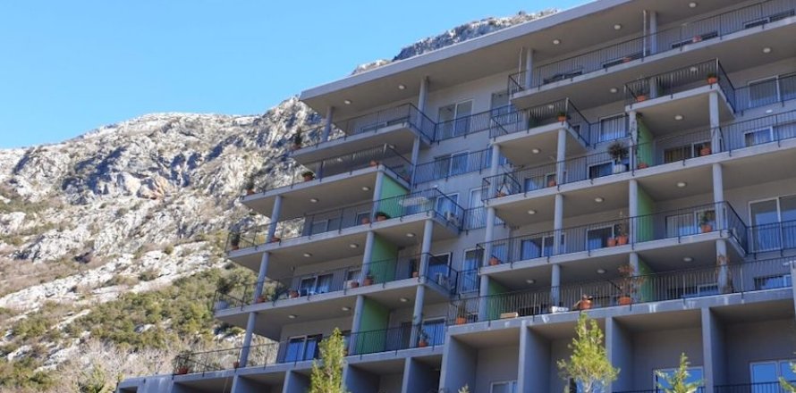 2 bedrooms Apartment in Kotor, Montenegro No. 66802