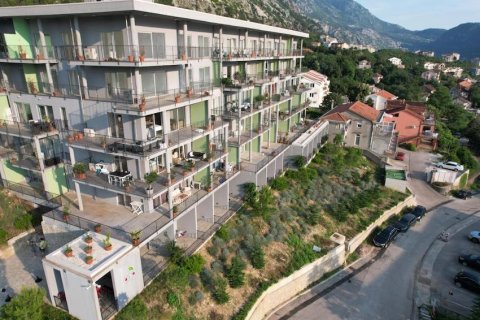 2 bedrooms Apartment in Kotor, Montenegro No. 66802 2