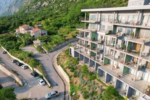 2 bedrooms Apartment in Kotor, Montenegro No. 66802 3