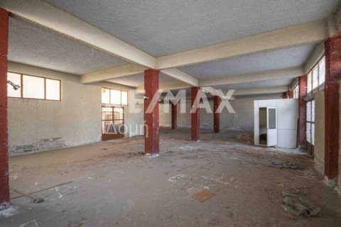 1230m² Building in Magnesia, Greece No. 28015 14