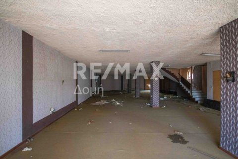 1230m² Building in Magnesia, Greece No. 28015 23