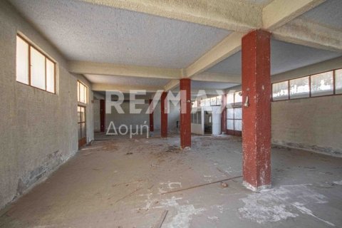 1230m² Building in Magnesia, Greece No. 28015 13