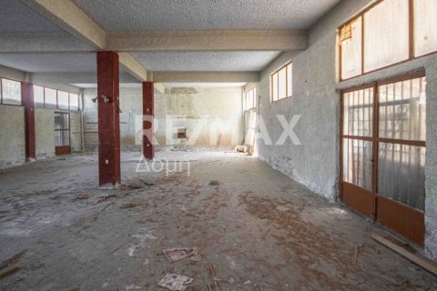 1230m² Building in Magnesia, Greece No. 28015 12