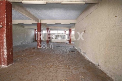 1230m² Building in Magnesia, Greece No. 28015 7