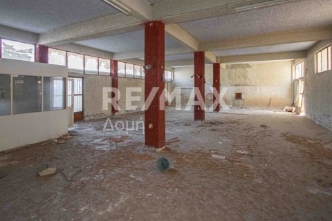 1230m² Building in Magnesia, Greece No. 28015 11