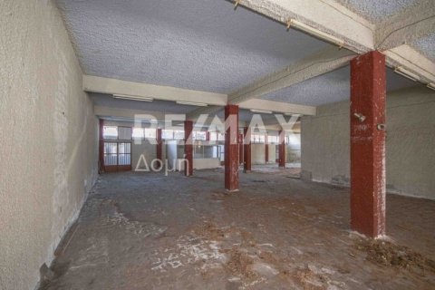 1230m² Building in Magnesia, Greece No. 28015 8