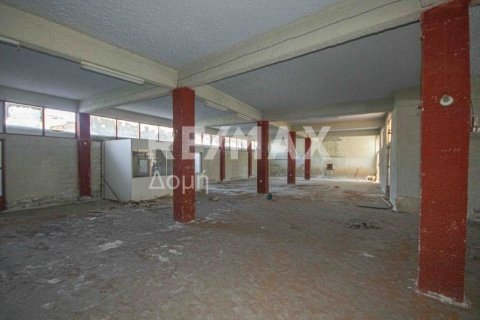 1230m² Building in Magnesia, Greece No. 28015 10