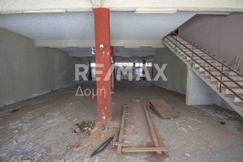 1230m² Building in Magnesia, Greece No. 28015 5