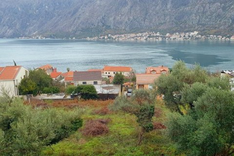 600m² Land in Kotor, Montenegro No. 104766 1