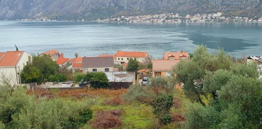 600m² Land in Kotor, Montenegro No. 104766