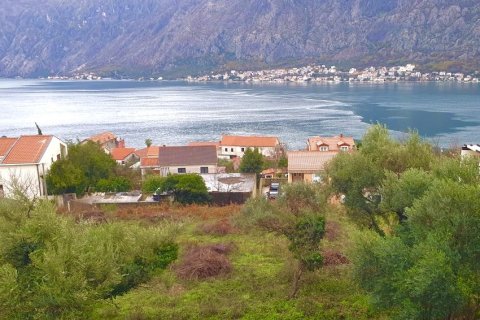 600m² Land in Kotor, Montenegro No. 104766 4