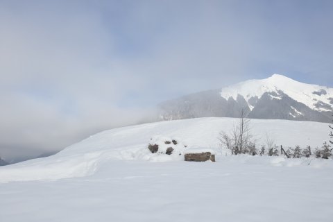 3 bedrooms House in Les Gets, France No. 99489 1