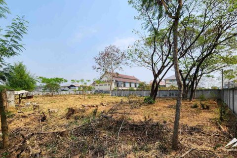 Land in Chiang Mai, Thailand No. 98071 2