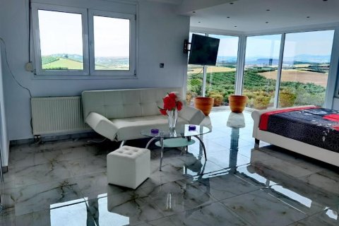 2 chambres Villa à Chalkidiki, Greece No. 56289 15