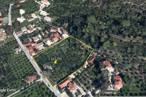 Land à Zakynthos, Greece No. 24549 7