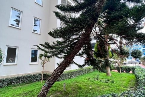 3 rooms Apartment in Chau Lang, Vietnam No. 17714 17