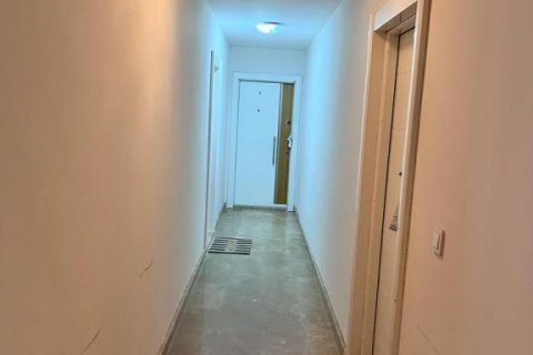 3 rooms Apartment in Chau Lang, Vietnam No. 17714 13