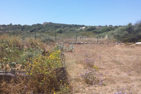 220m² House in Lavrio, Greece No. 59120 7