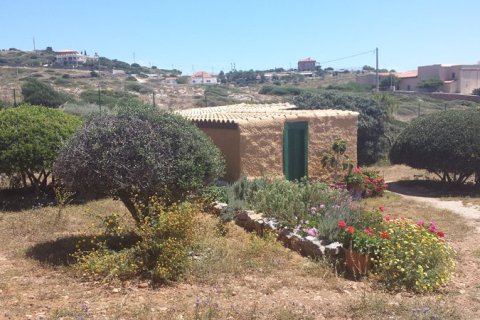 220m² House in Lavrio, Greece No. 59120 4