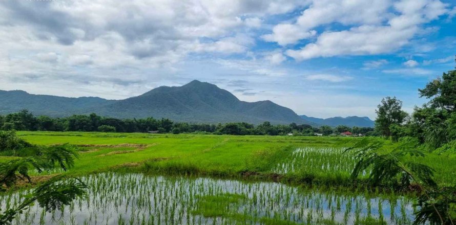 Land en Chiang Mai, Thailand No. 98089