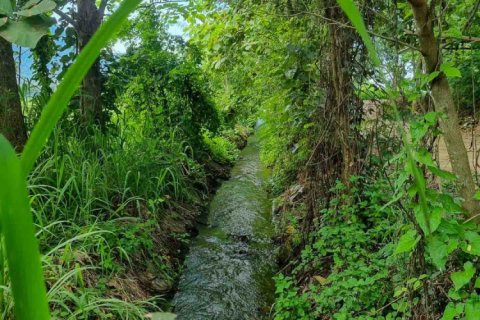 Land en Chiang Mai, Thailand No. 98089 6