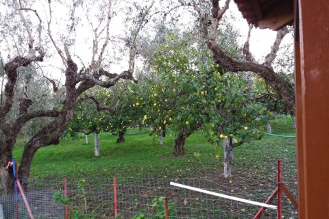 2 bedrooms House in Zakynthos, Greece No. 24595 22