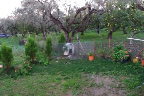 2 bedrooms House in Zakynthos, Greece No. 24595 7