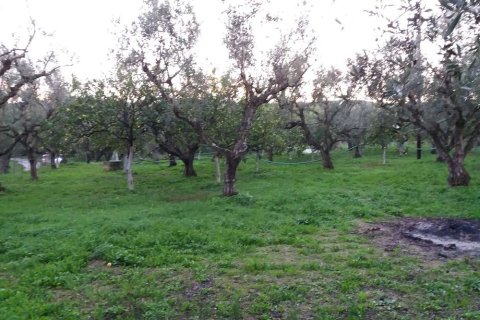 2 bedrooms House in Zakynthos, Greece No. 24595 9