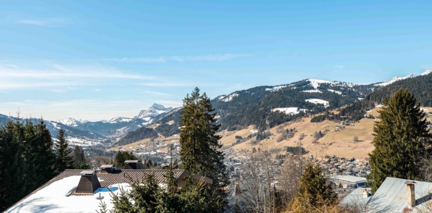 5 bedrooms Apartment in Megeve, France No. 99874