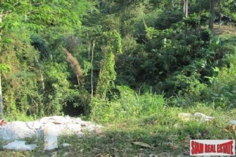 Земельный участок 9600м² в Чалонг, Таиланд №95685 5