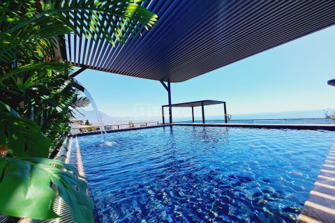 Квартира с 3 спальнями в Chau Lang, Вьетнам №52855 9