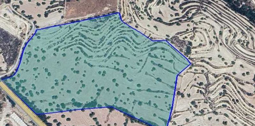 Commercial property in Paramytha, Cyprus No. 42023