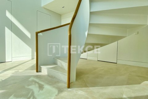 Вилла с 7 спальнями в Phi Dien, Вьетнам №21942 23