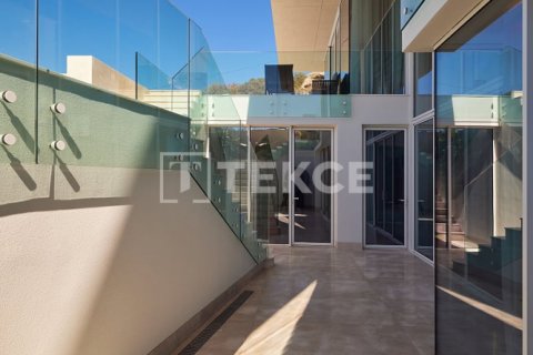 Вилла с 7 спальнями в Phi Dien, Вьетнам №21942 12