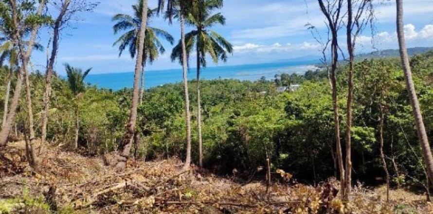 8000m² Land on the Ko Samui, Thailand No. 98097