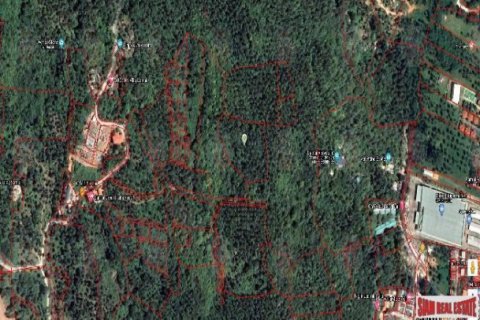 8000m² Land in Ko Samui, Thailand No. 98097 4