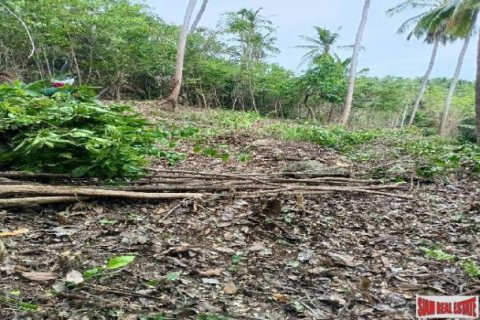 8000m² Land in Ko Samui, Thailand No. 98097 3